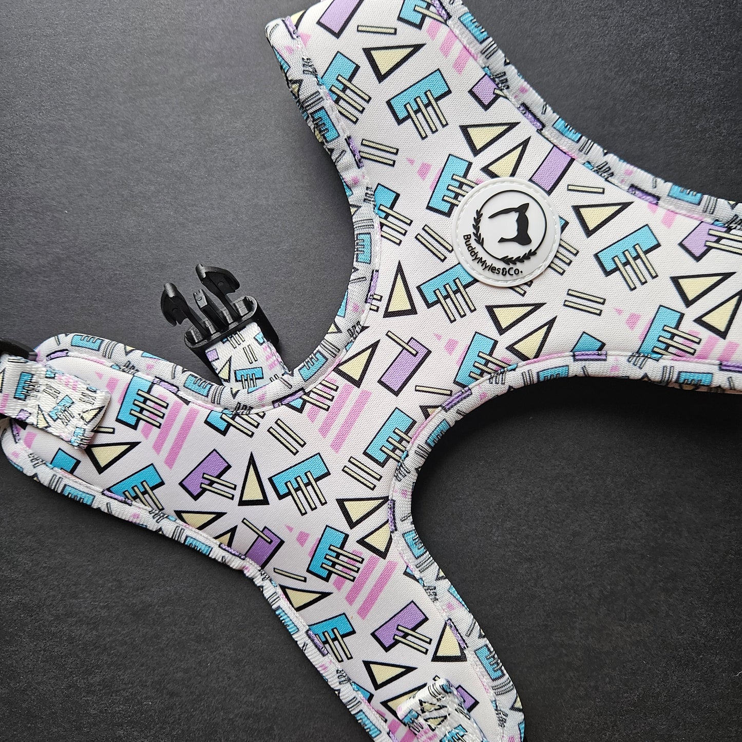 Simply Retro | Harness
