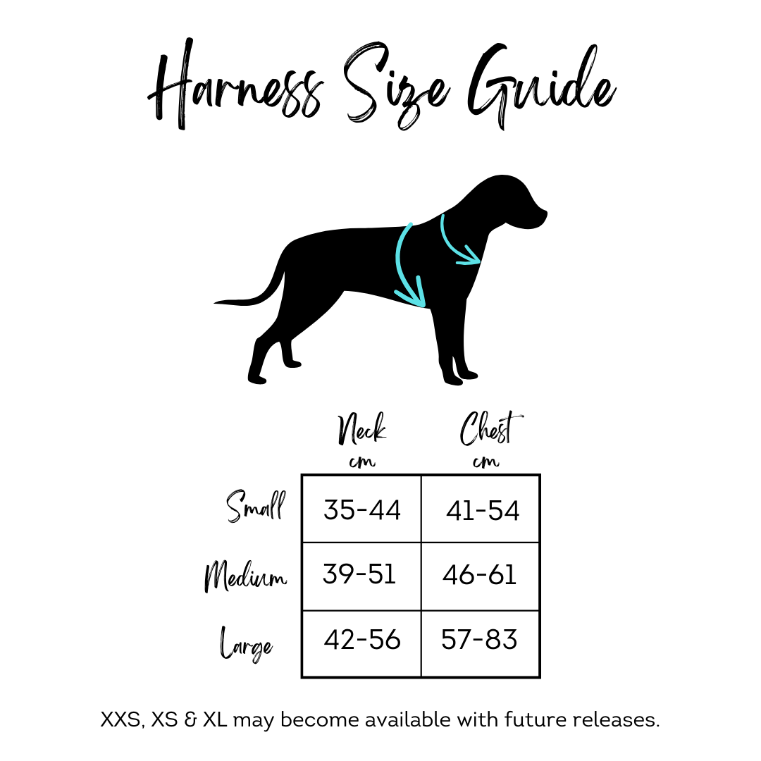 Simply Retro | Harness
